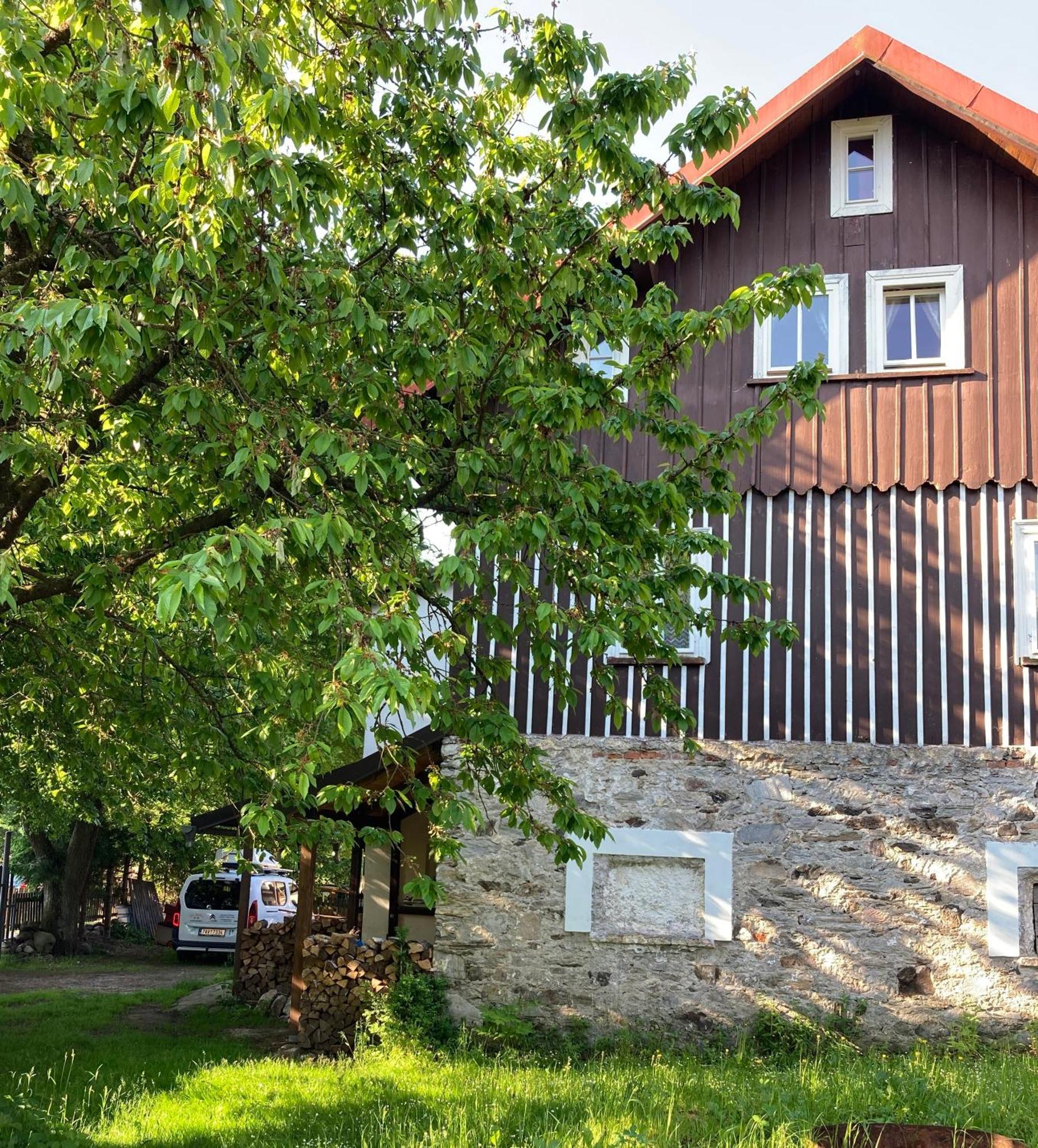 Vila Adelka - Utulna Chalupa V Krkonosich Horni Marsov Exterior photo
